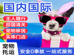 汉中城固机场托运国际宠物托运 【国